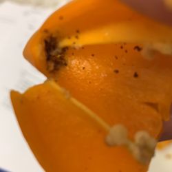 Dollar General - Bug eggs