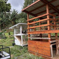 Puʻuhonua Farms - More goats