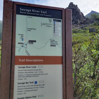 Denali National Park - Hiking Near Me - Mckinley Park, Alaska
