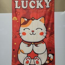 Dynasty Plaza - Lucky cat