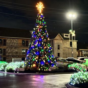 Dolly Parton's Stampede - Parking lot tree - Performing Arts Near Me - Pigeon Forge, Tennessee