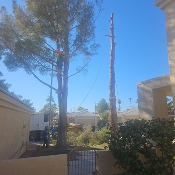 E &C Outdoor Concepts - Tree Services Near Me E &C Outdoor Concepts - Tree Services Near Me