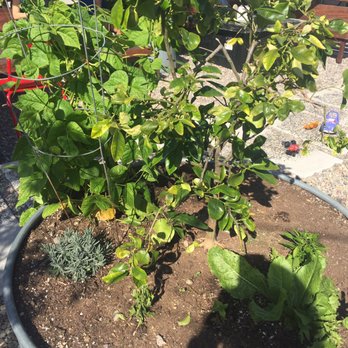 Art Produce Gallery - Art Galleries Near Me - San Diego, California