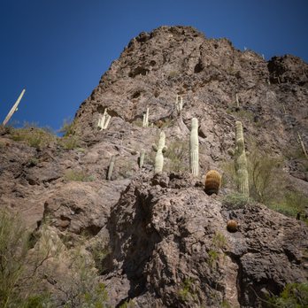 PICACHO PEAK STATE PARK - Updated February 2026 - 396 Photos & 86