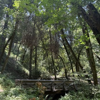 Sanborn County Park - Parks Near Me - Saratoga, California Sanborn County Park - Parks Near Me - Saratoga, California