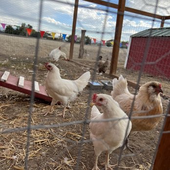 Wilkerson Farm - Attraction Farms Near Me - Orem, Utah