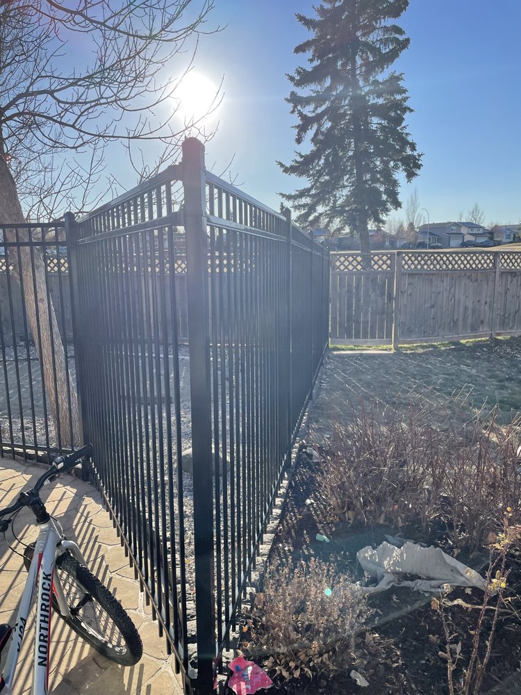 Ornamental iron fence by Elite Fencing