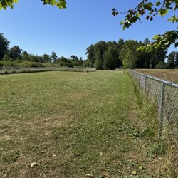Strawberry Fields For Rover Off Leash Park - Looking all the way to the back