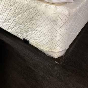 Primm Valley Resort - Pet pee stain on box spring - Hotels Near Me - Primm, Nevada Primm Valley Resort - Pet pee stain on box spring - Hotels Near Me - Primm, Nevada