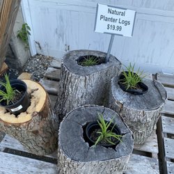 Funke's Greenhouses