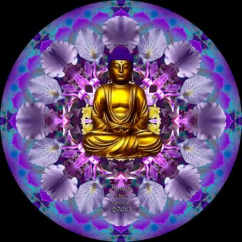 Psychic Readings by Elaine - Psychics Near Me Psychic Readings by Elaine - Psychics Near Me