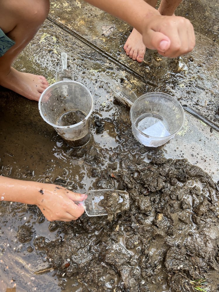 Wild Roots KC Childcare - childcare center in Kansas City, MO