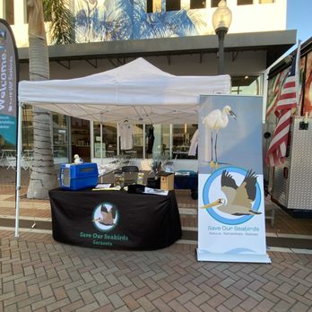 Save Our Seabirds - Another Farmer Market getting the word out! - Animal Shelters Near Me - Sarasota, Florida Save Our Seabirds - Another Farmer Market getting the word out! - Animal Shelters Near Me - Sarasota, Florida