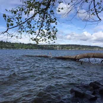Saint Edward State Park - Lake Washington from St. Edward State park, - Parks Near Me - Kenmore, Washington Saint Edward State Park - Lake Washington from St. Edward State park, - Parks Near Me - Kenmore, Washington