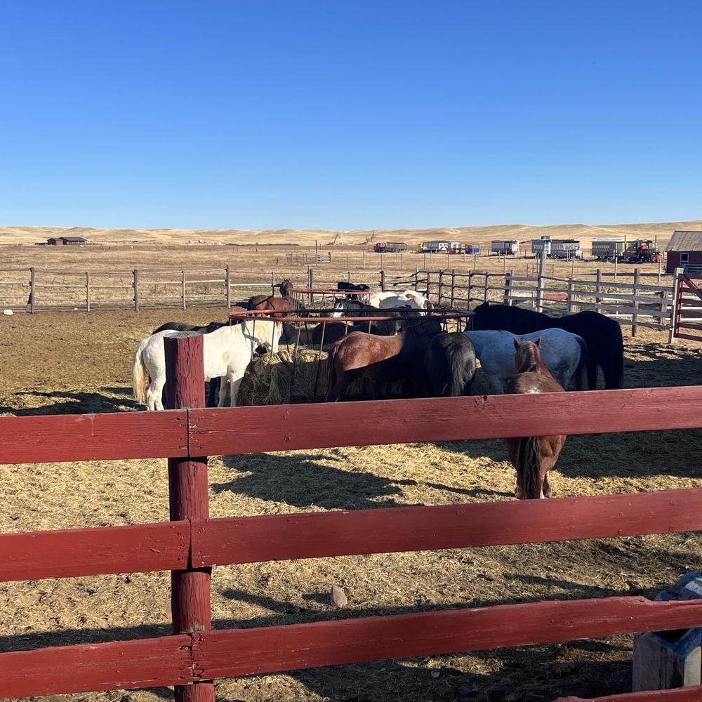 Terry Bison Ranch Resort - Venues & Event Spaces Near Me - Cheyenne, Wyoming Terry Bison Ranch Resort - Venues & Event Spaces Near Me - Cheyenne, Wyoming