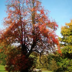 Hoch Hagen