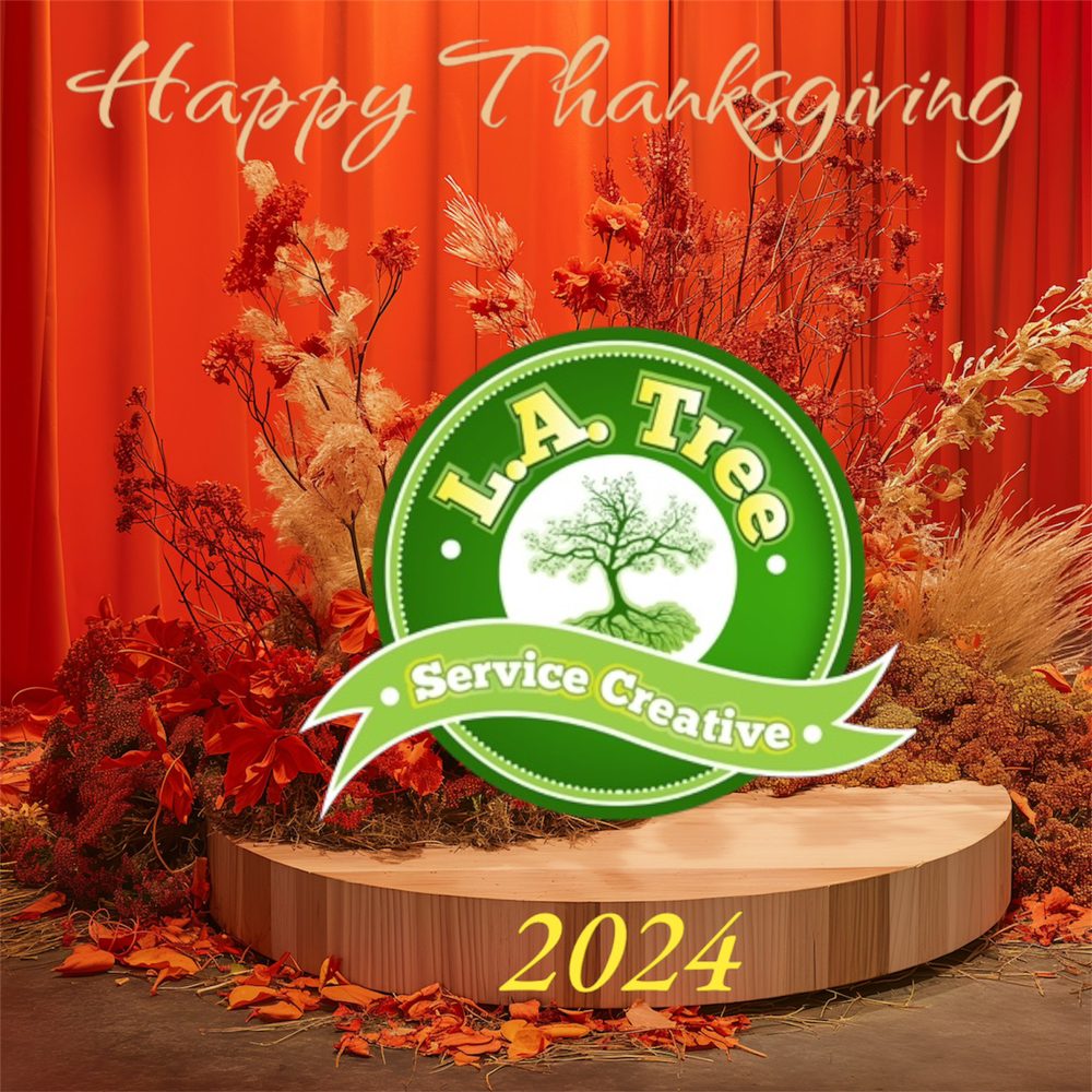 LA Tree Service Creative Corp - tree service in Brooklyn , NY