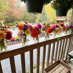 Five Acre Farm