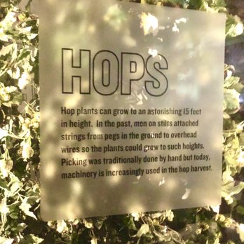 Guinness Storehouse - Breweries Near Me - Dublin, D