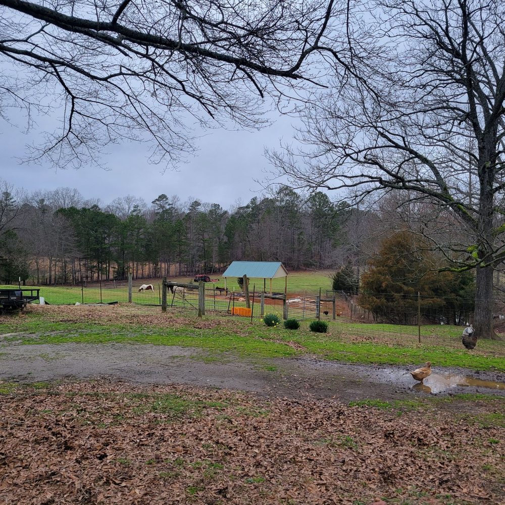 Patient Wait Farms - Attraction Farms Near Me - Piedmont, South Carolina Patient Wait Farms - Attraction Farms Near Me - Piedmont, South Carolina