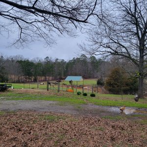 HOUSE OF RAEFORD FARMS - Updated February 2026 - 1354 Rutherford Rd ...