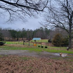 Patient Wait Farms