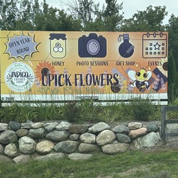 Indigo Lavender Farms - Pick Your Own Farms Near Me - Imlay City, Michigan