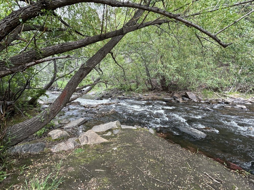 Bear Creek Canyon Park Logo