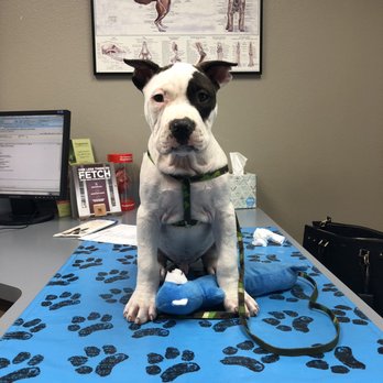 Sylvan Veterinary hospital - Veterinarians Near Me - Modesto, California