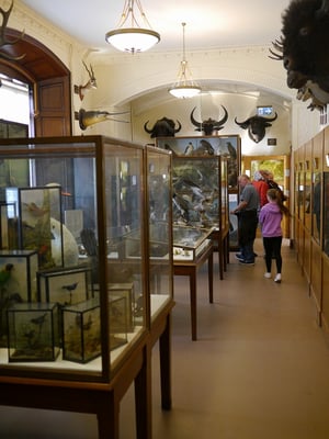 Wollaton Hall by null