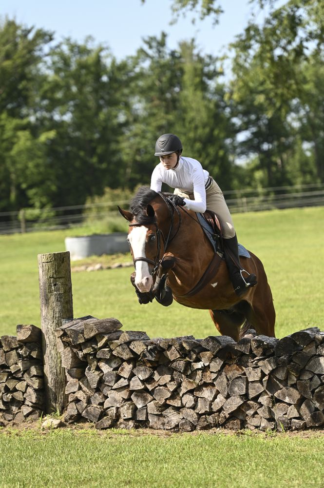 Social spots from Hanna Family Farms Equine