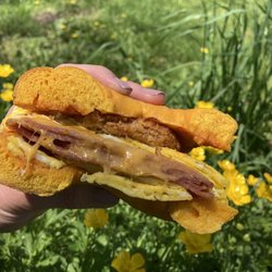 Hudson Bagels - Jersey shore w has brown on egg bagel