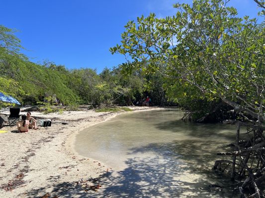 Playa La Jungla by null