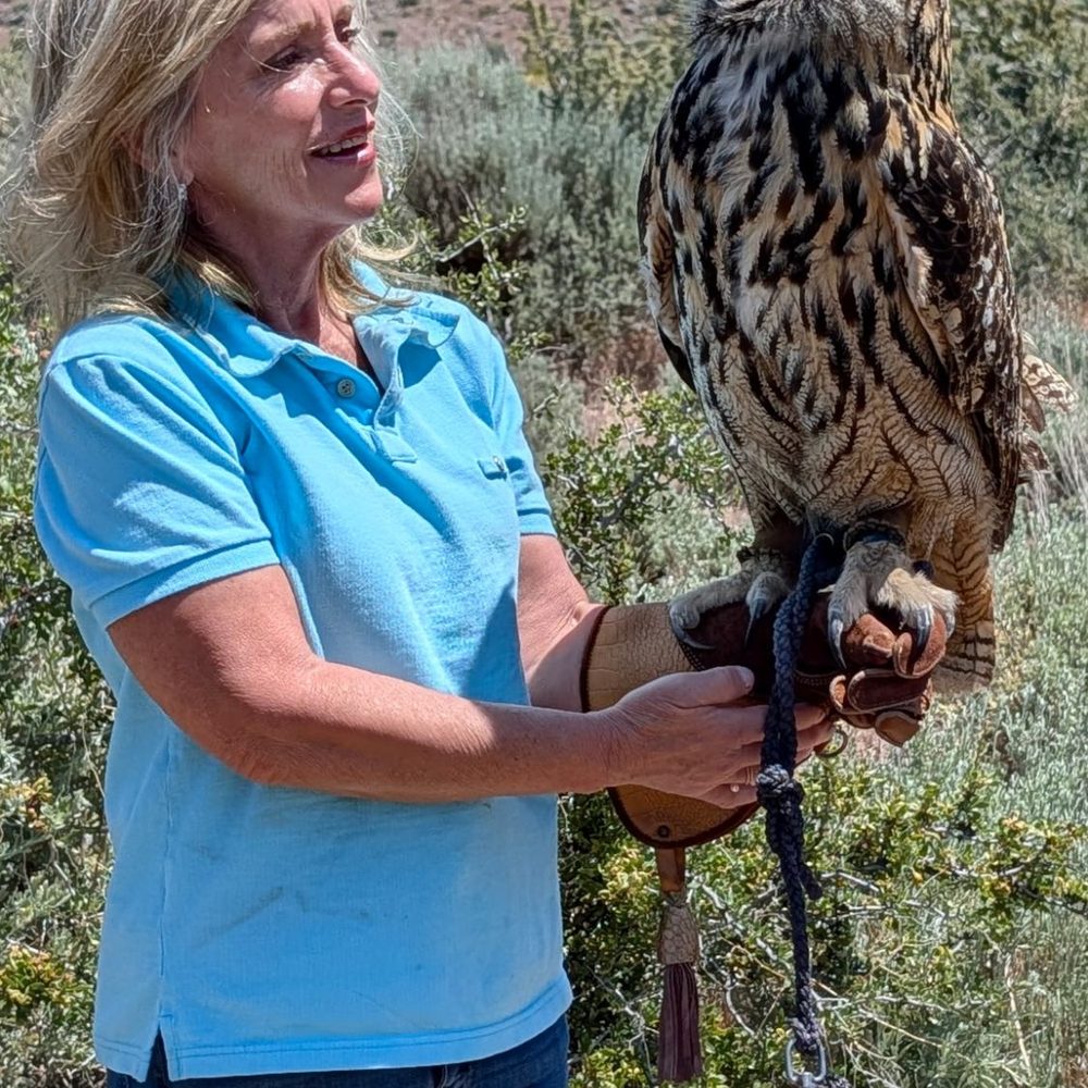Raptor Adventures - Holding the Eurasian Owl named Louise - Zoos Near Me - Reno, Nevada Raptor Adventures - Holding the Eurasian Owl named Louise - Zoos Near Me - Reno, Nevada