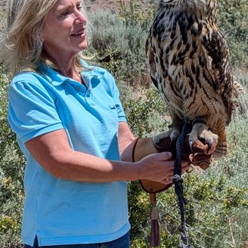 Raptor Adventures - Holding the Eurasian Owl named Louise - Zoos Near Me - Reno, Nevada Raptor Adventures - Holding the Eurasian Owl named Louise - Zoos Near Me - Reno, Nevada