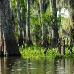 Atchafalaya Basin Bridge