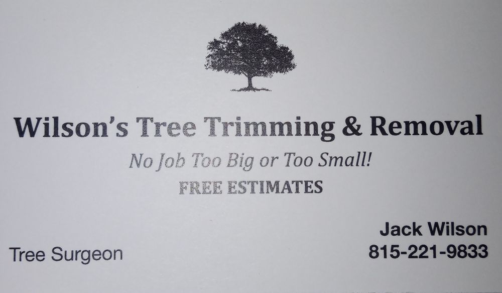 Wilsons Tree Trimming & Removal - tree service in Peoria, IL