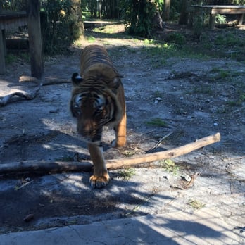 Naples Zoo - Zoos Near Me - Naples, Florida