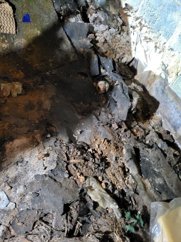 Slide of Corados Services