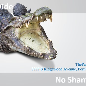The Pampered Tooth - There's no shame and no blame in our healthy mouth game. We offer kindness, compassion, understanding, and patience... - Cosmetic Dentists Near Me - Port Orange, Florida The Pampered Tooth - There's no shame and no blame in our healthy mouth game. We offer kindness, compassion, understanding, and patience... - Cosmetic Dentists Near Me - Port Orange, Florida