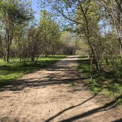 Cheyenne Off-Leash Dog Park - Twisty trail through the woods that wraps around the entire park.