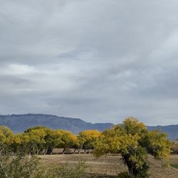 City of Albuquerque Open Space Visitor Center