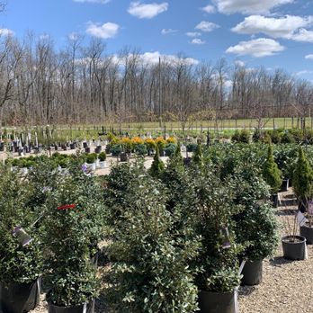Masterson Nursery - Evergreens, trees, bushes - Nurseries & Gardening Near Me - Lamar, Indiana