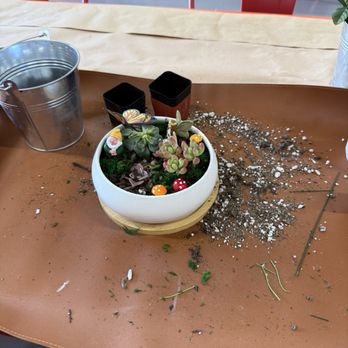 The Hot Spot Studio ATX - Paint-Your-Own Pottery Near Me - Pflugerville, Texas The Hot Spot Studio ATX - Paint-Your-Own Pottery Near Me - Pflugerville, Texas