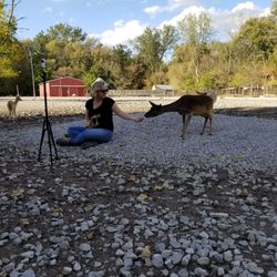 Lagoon Deer Park - Back lot