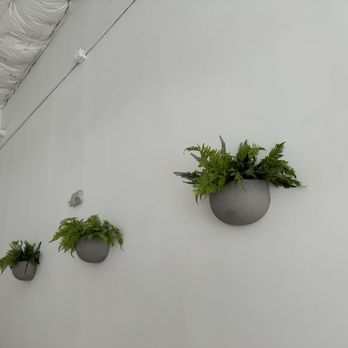 Fantasticks - Wall decor - Gelato Near Me - Gaithersburg, Maryland