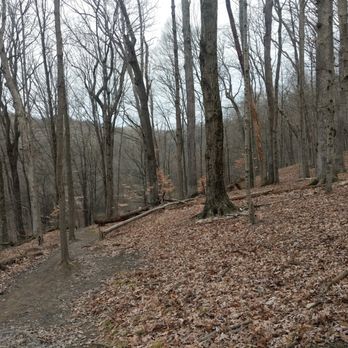 Wooster Memorial Park - Somewhere on the Outer Trail - Parks Near Me - Wooster, Ohio