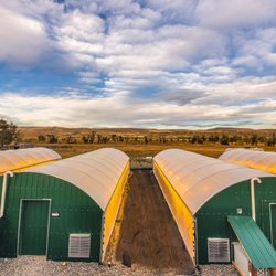 Sacred Sun Farms