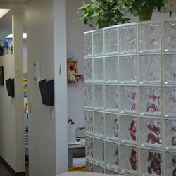 Ash Family Dental