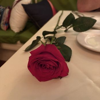 Red Shoe Island Bistro - A rose for valentines - Seafood Near Me - Key West, Florida Red Shoe Island Bistro - A rose for valentines - Seafood Near Me - Key West, Florida